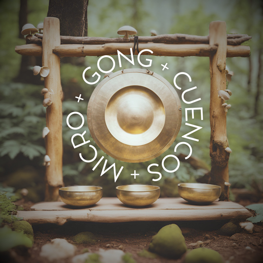Gong + Cuencos + Micro - El Pinar 10 de Mayo